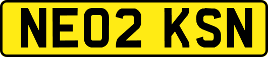 NE02KSN