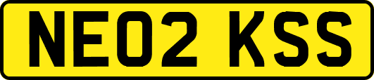NE02KSS