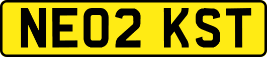 NE02KST