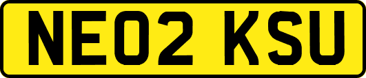 NE02KSU