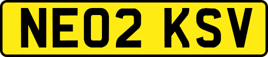 NE02KSV