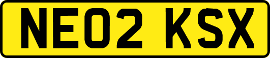 NE02KSX