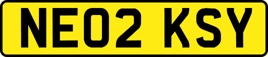 NE02KSY