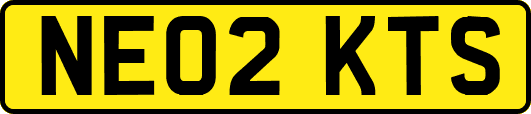 NE02KTS