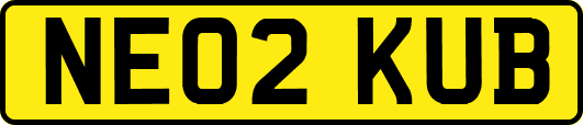 NE02KUB