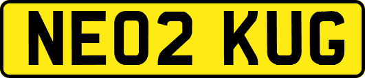 NE02KUG