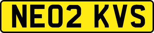 NE02KVS