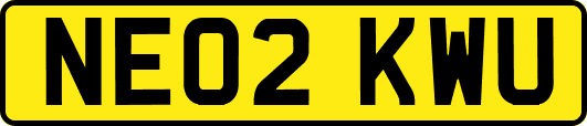 NE02KWU