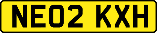 NE02KXH