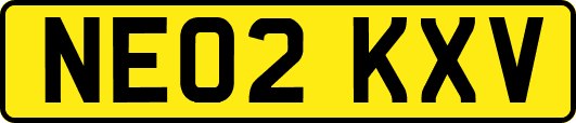 NE02KXV