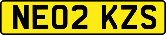 NE02KZS