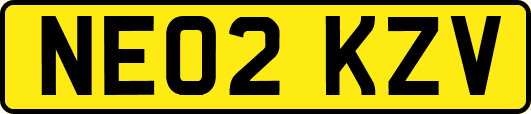 NE02KZV