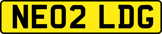 NE02LDG
