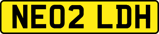NE02LDH