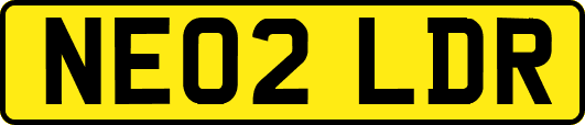 NE02LDR