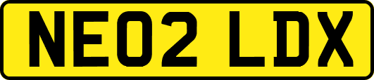NE02LDX