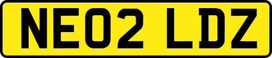 NE02LDZ