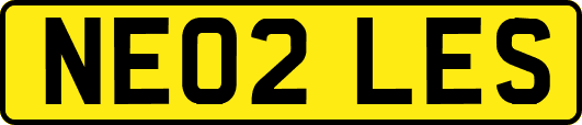 NE02LES