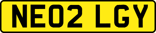 NE02LGY