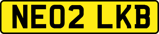 NE02LKB