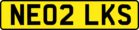 NE02LKS
