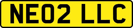 NE02LLC