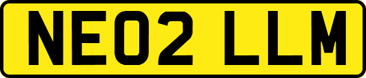 NE02LLM