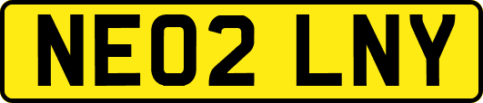 NE02LNY