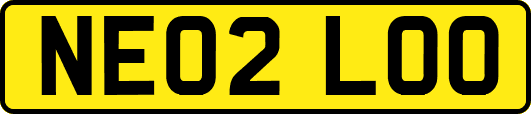 NE02LOO
