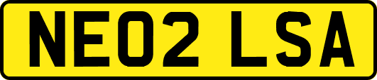 NE02LSA