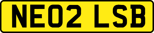 NE02LSB