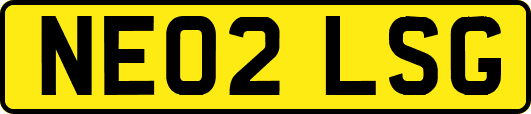 NE02LSG