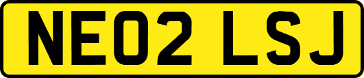 NE02LSJ