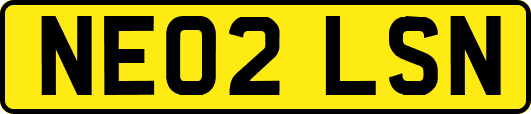 NE02LSN