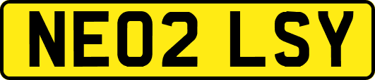 NE02LSY
