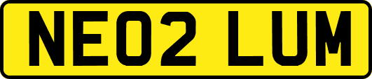 NE02LUM