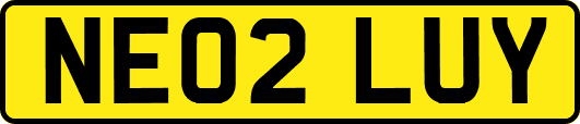 NE02LUY