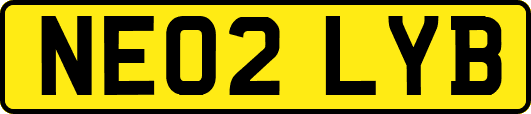 NE02LYB
