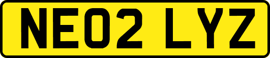 NE02LYZ