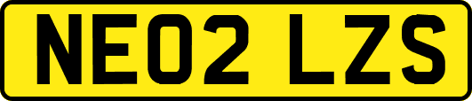 NE02LZS
