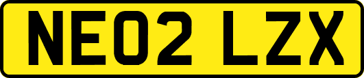 NE02LZX