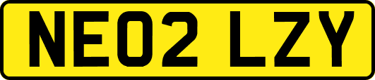 NE02LZY