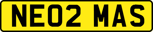NE02MAS