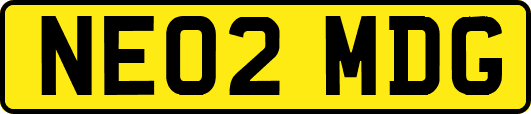 NE02MDG