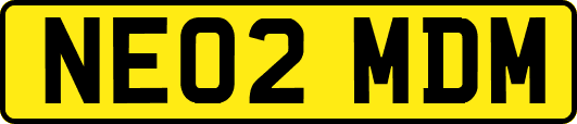 NE02MDM