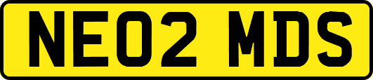 NE02MDS
