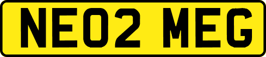 NE02MEG
