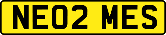 NE02MES