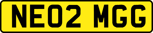 NE02MGG