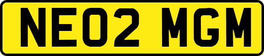 NE02MGM